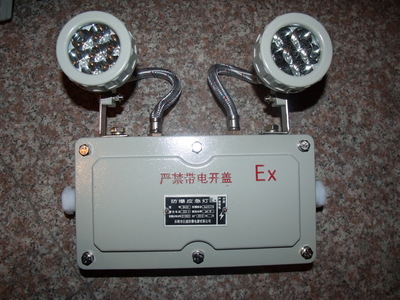 BAJ52-14/220V防爆应急灯 矿用安全照明的专业解决方案