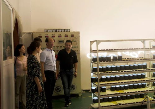 广东省照明电器协会吴文锋会长一行调研嘉美工业园，深化行业交流合作